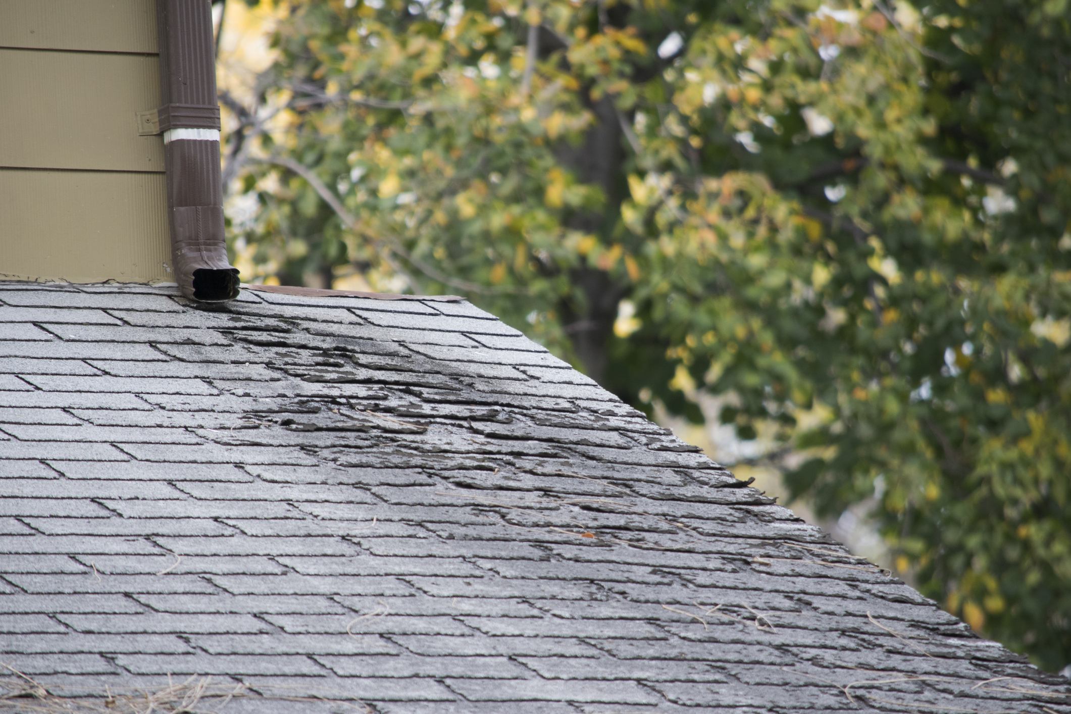 How Old Should a Roof Be Before Replacing?