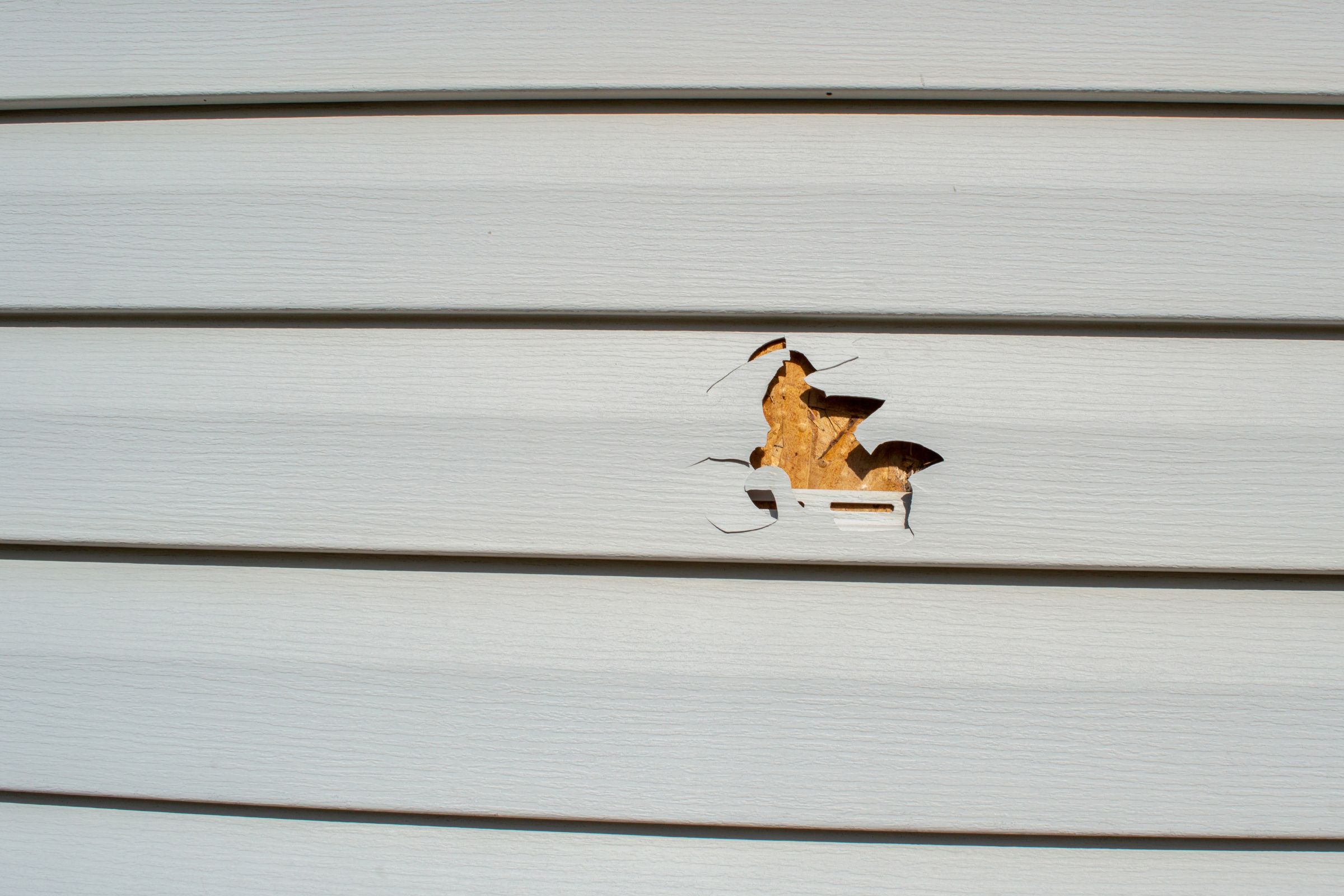 Siding Repair and Maintenance: Tips to Extend the Lifespan of Your Siding